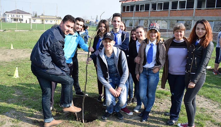 Proiect Ecologic “ Amenajarea spatiului verde din curtea scolii ”